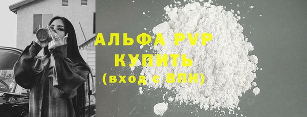 спайс Гусев