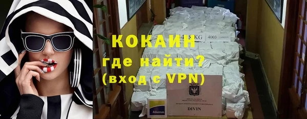 спайс Гусев