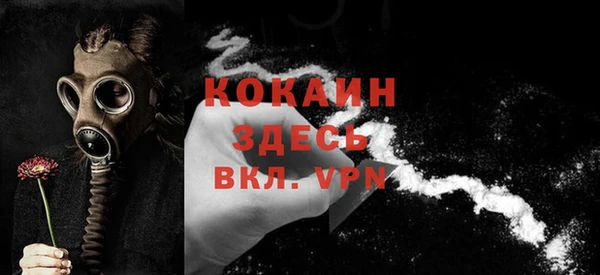 спайс Гусев