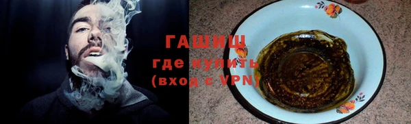 спайс Гусев