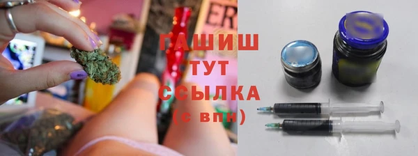 гашик Гусь-Хрустальный