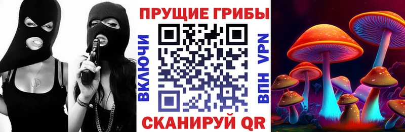Псилоцибиновые грибы Psilocybine cubensis купить закладку Новая Ладога