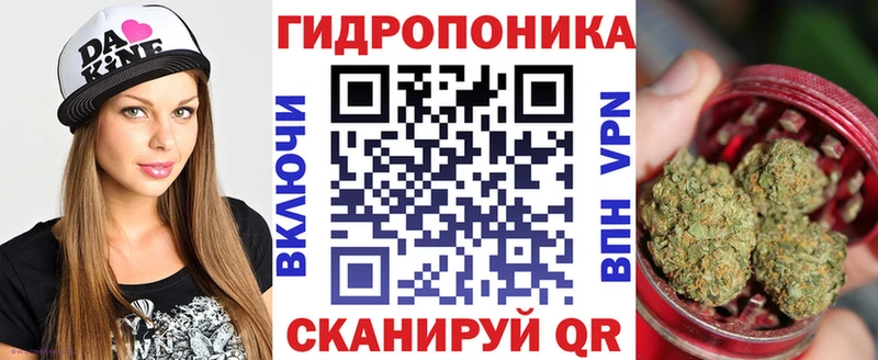 Бошки Шишки гибрид  darknet официальный сайт  Новая Ладога 